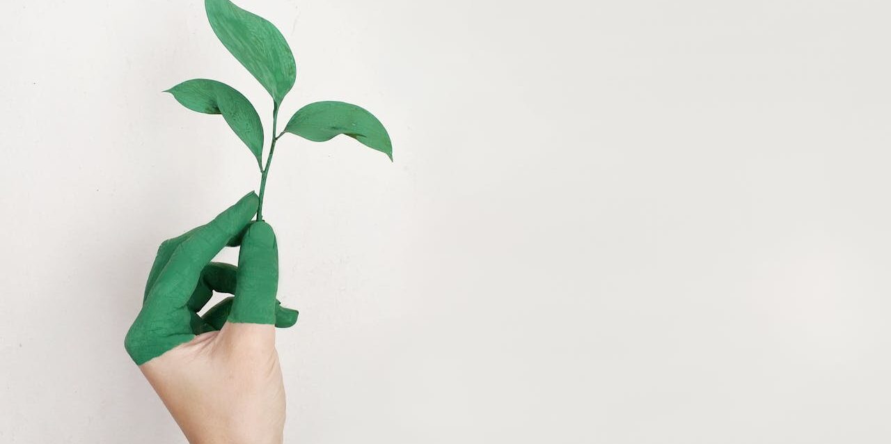 Ecoblanqueo o greenwashing es una práctica de marketing que utilizan las marcas para hacer creer al público que sus productos y políticas son respetuosas con el medio ambiente. 