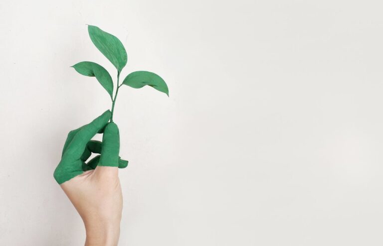 Qué es el ecoblanqueo Te contamos cómo identificarlo Ecoblanqueo o greenwashing es una práctica de marketing que utilizan las marcas para hacer creer al público que sus productos y políticas son respetuosas con el medio ambiente.