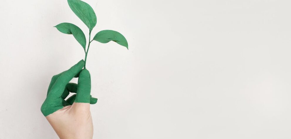 Ecoblanqueo o greenwashing es una práctica de marketing que utilizan las marcas para hacer creer al público que sus productos y políticas son respetuosas con el medio ambiente. 