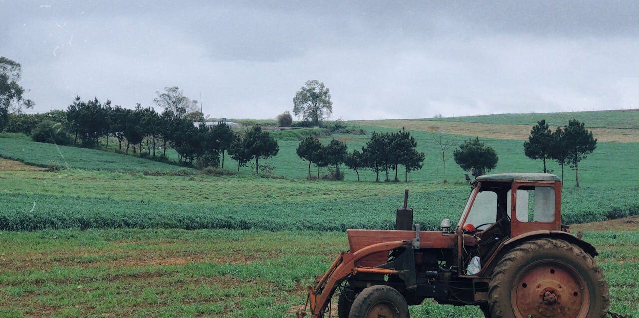 La bioeconomía como motor del cambio: ¿puede transformar la agricultura en América Latina?