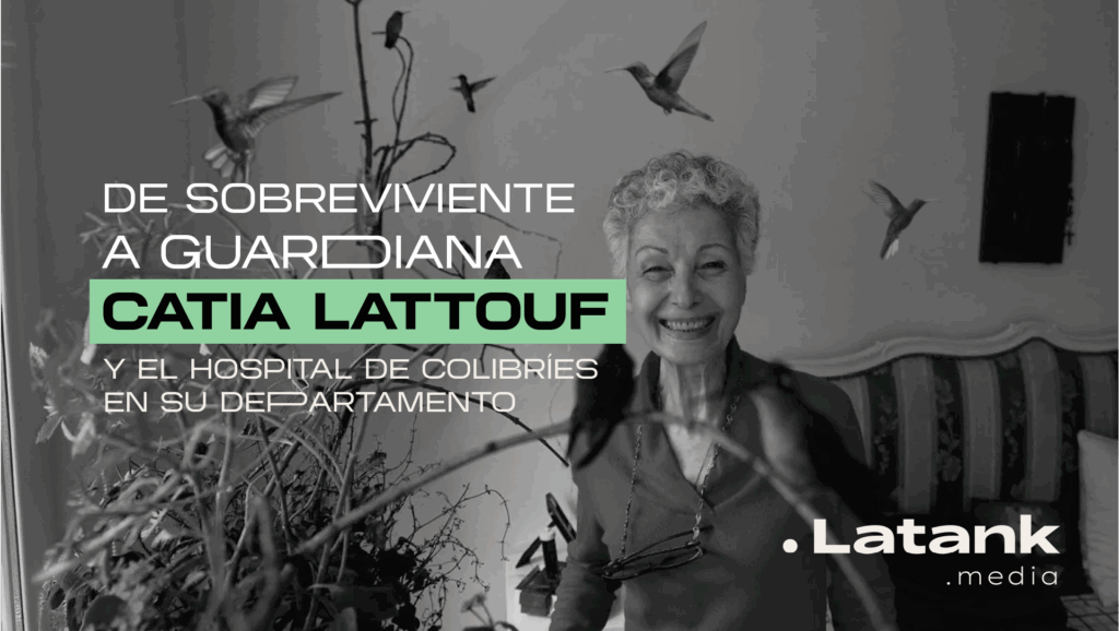 De sobreviviente a guardiana: Catia Lattouf nos cuenta del hospital de colibríes en su departamento.