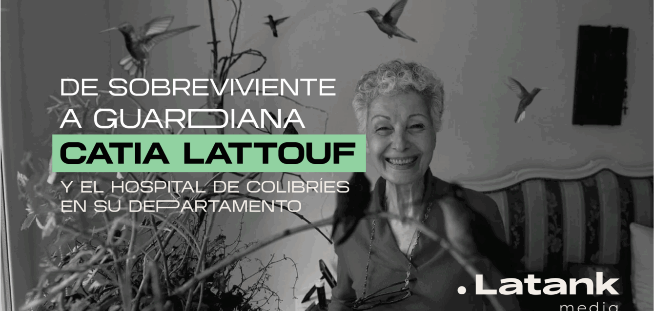 De sobreviviente a guardiana: Catia Lattouf nos cuenta del hospital de colibríes en su departamento.