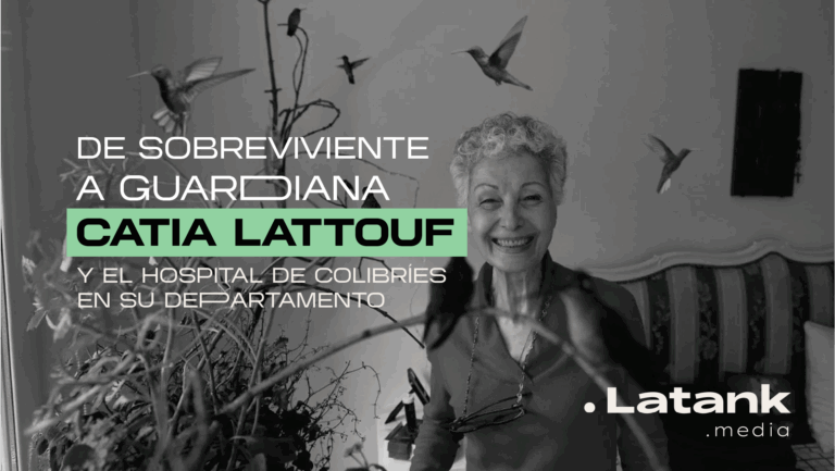 De sobreviviente a guardiana: Catia Lattouf nos cuenta del hospital de colibríes en su departamento.