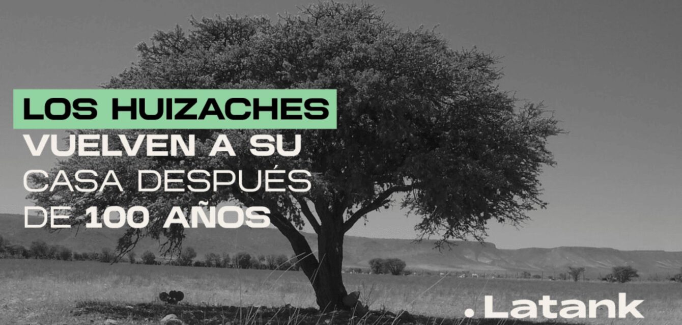 huizaches,arboles,iztapalapa,chaponeros