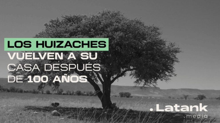 huizaches,arboles,iztapalapa,chaponeros