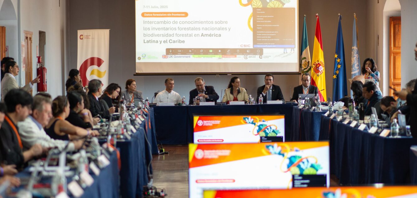 Guatemala se convierte en el epicentro del diálogo regional sobre monitoreo forestal y datos abiertos, impulsando la cooperación y armonización de metodologías frente a la emergencia climática