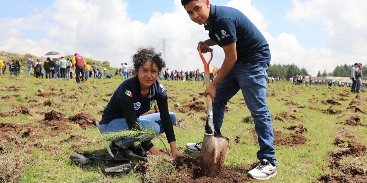 Con seis millones de árboles y un enfoque hidrológico-forestal, la entidad apuesta por un nuevo modelo de reforestación que vincula educación, biodiversidad y comunidad