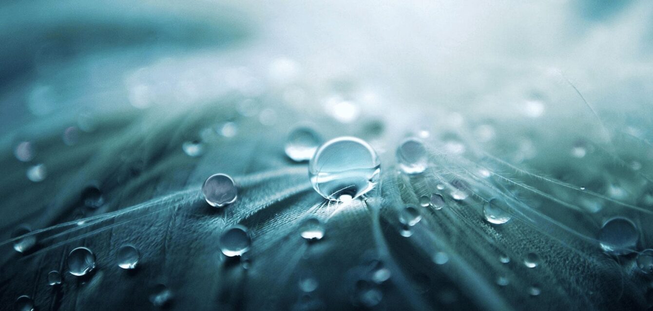 La lluvia es crucial para los ecosistemas.