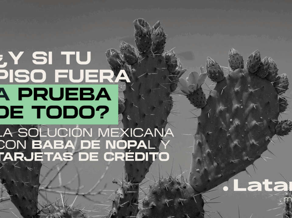 Del-nopal-a-tu-piso-desechos-materiales (1)