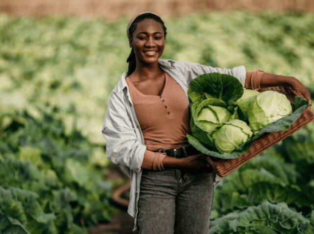 El papel de las mujeres en la agroalimentación.