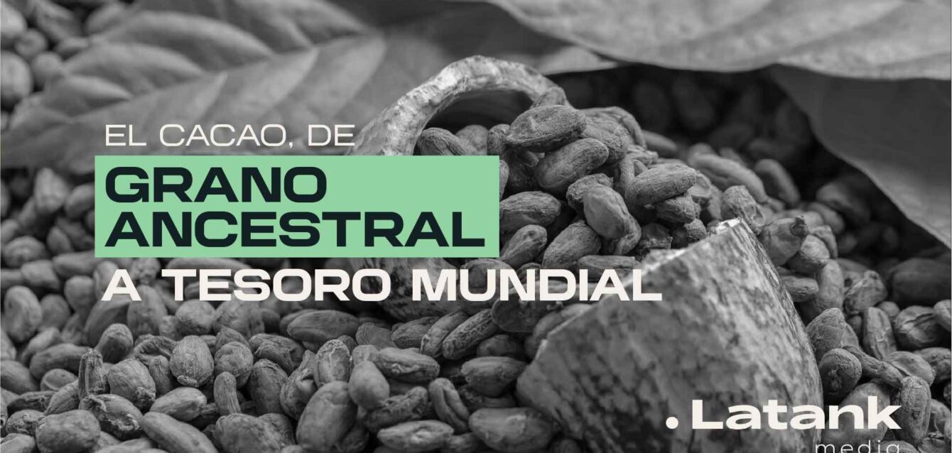 Cacao-grano-ancestral-tesoro-mundial