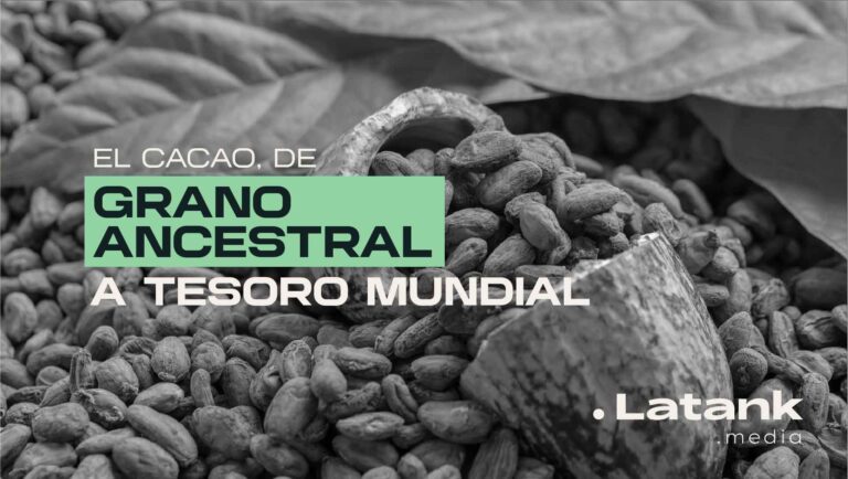 Cacao-grano-ancestral-tesoro-mundial