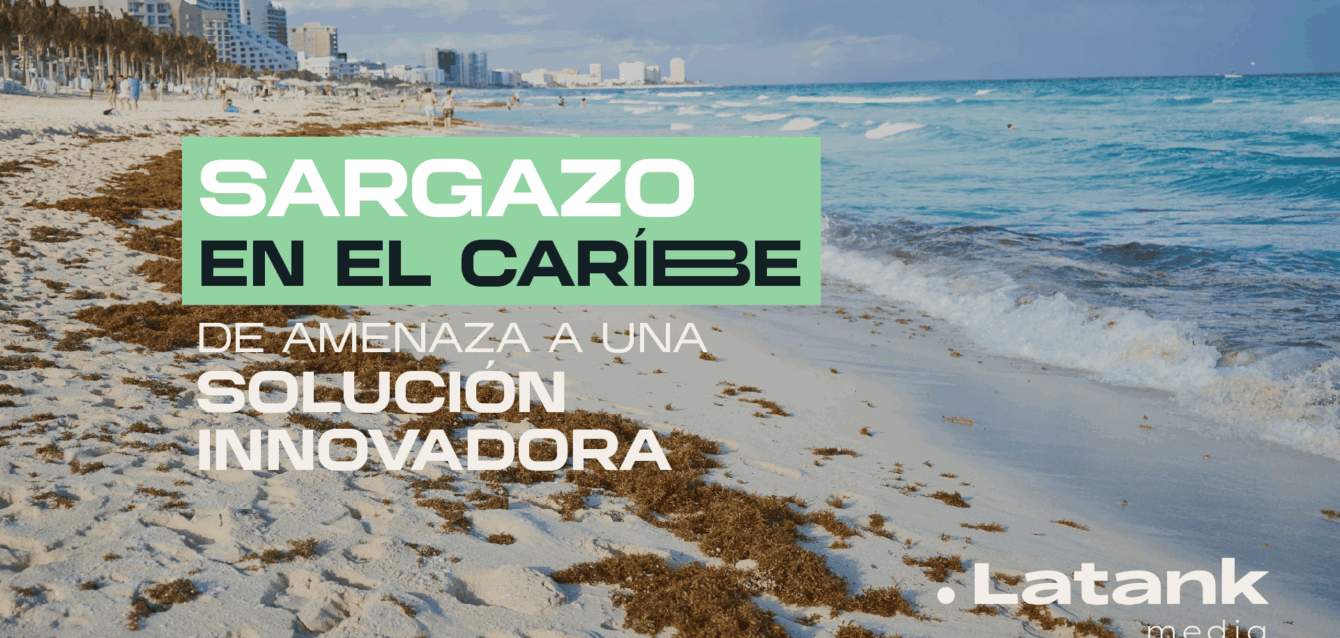 Sargazo-amenaza-a-soluciones-innovadoras (1) Sargazo-amenaza-a-soluciones-innovadoras (1)