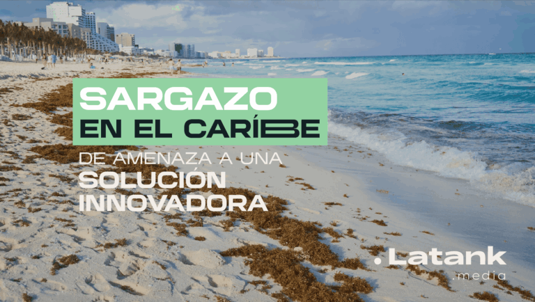 Sargazo-amenaza-a-soluciones-innovadoras (1)