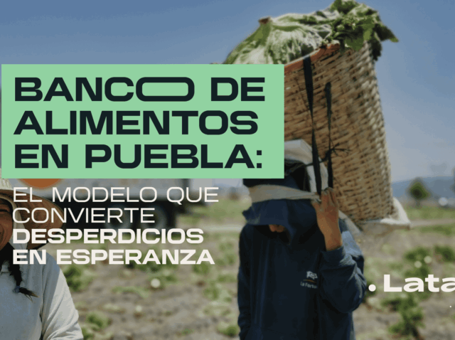 Cada día, miles de kilos de frutas, verduras, panes y productos perfectamente comestibles terminan en la basura mientras más de 44 millones de personas en México viven algún grado de inseguridad alimentaria