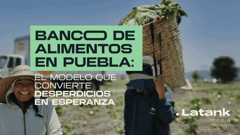 Cada día, miles de kilos de frutas, verduras, panes y productos perfectamente comestibles terminan en la basura mientras más de 44 millones de personas en México viven algún grado de inseguridad alimentaria