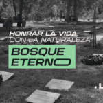 Durante el Día de Muertos, exploramos la visión y objetivo de Bosque Eterno: renaturalizar las prácticas funerarias que la industria ha cortado de tajo