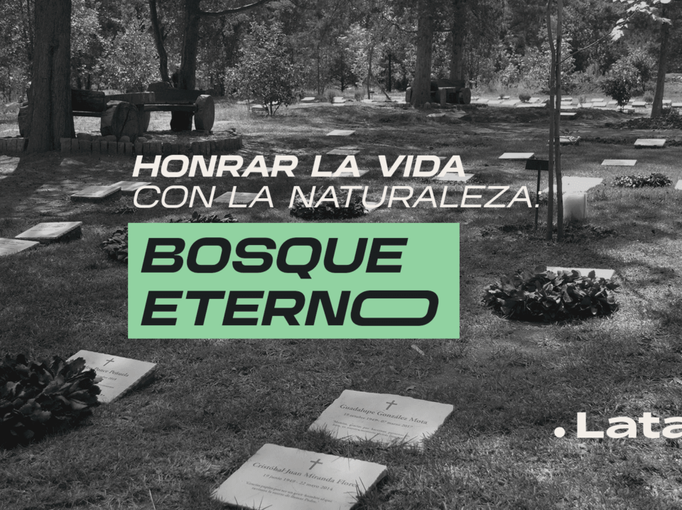 Durante el Día de Muertos, exploramos la visión y objetivo de Bosque Eterno: renaturalizar las prácticas funerarias que la industria ha cortado de tajo