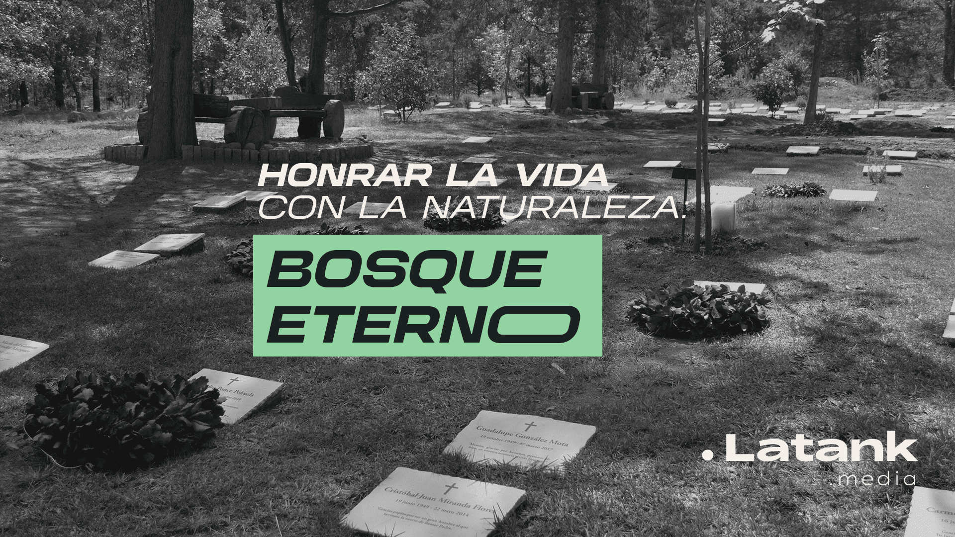 Durante el Día de Muertos, exploramos la visión y objetivo de Bosque Eterno: renaturalizar las prácticas funerarias que la industria ha cortado de tajo