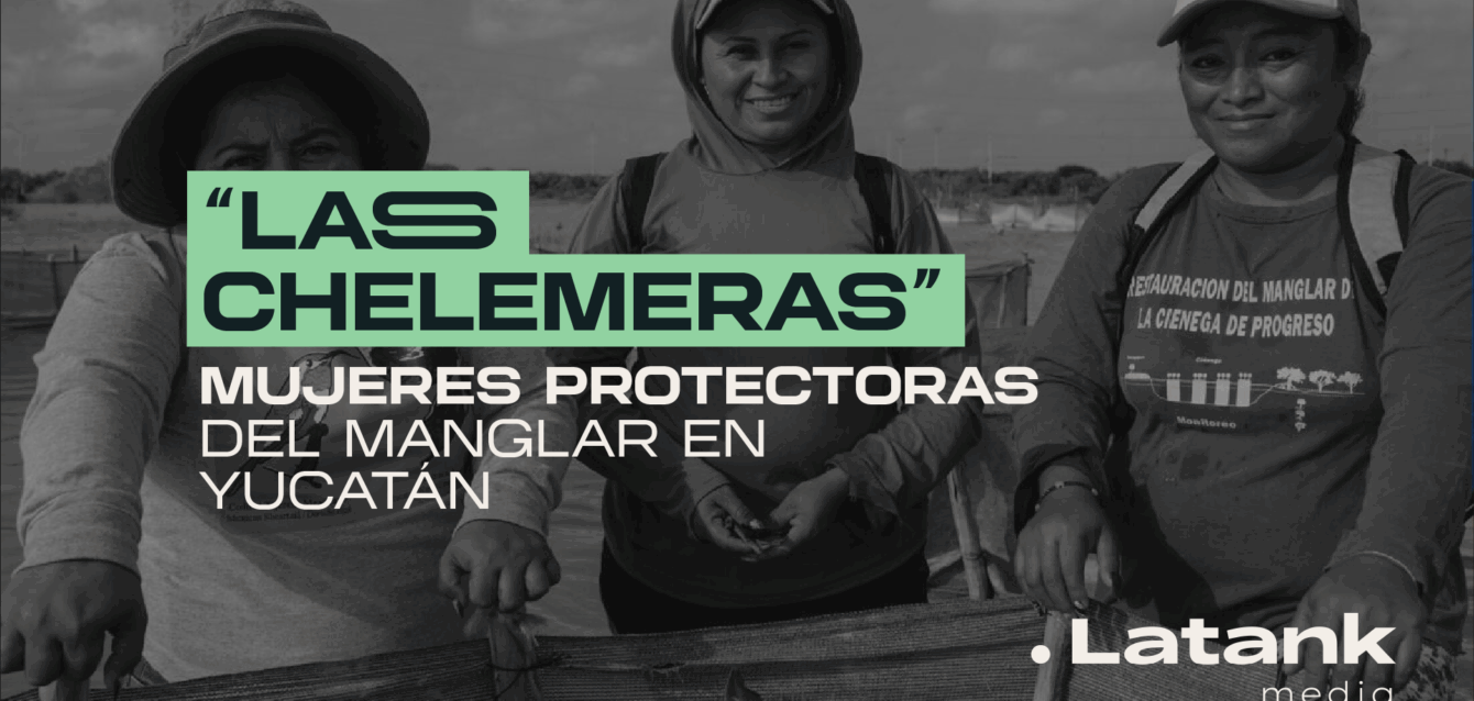 Las-chelemeras-manglar-yucatan
