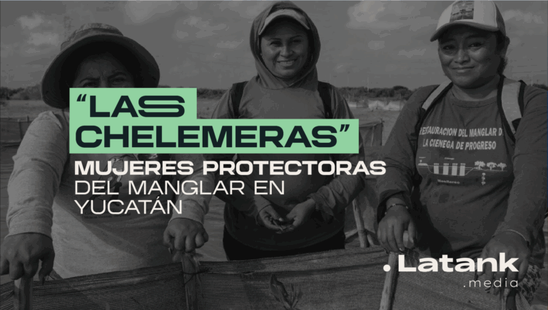 Las-chelemeras-manglar-yucatan