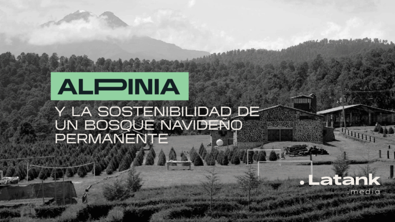 Alpinia-bosque-navideño-permanente